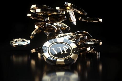 VIPプログラムとは